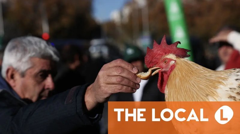 Best chicken road casino in Spain